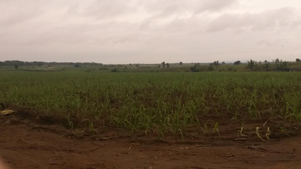 Hotel Gayan'S Udawalawe Zewnętrze zdjęcie